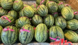 吃瓜大赛 黑料不打样,揭秘黑料背后的真相与趣味