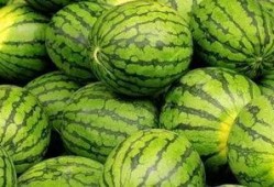 吃瓜大赛 黑料不打样,揭秘黑料背后的真相与趣味